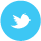 Twitter Logo